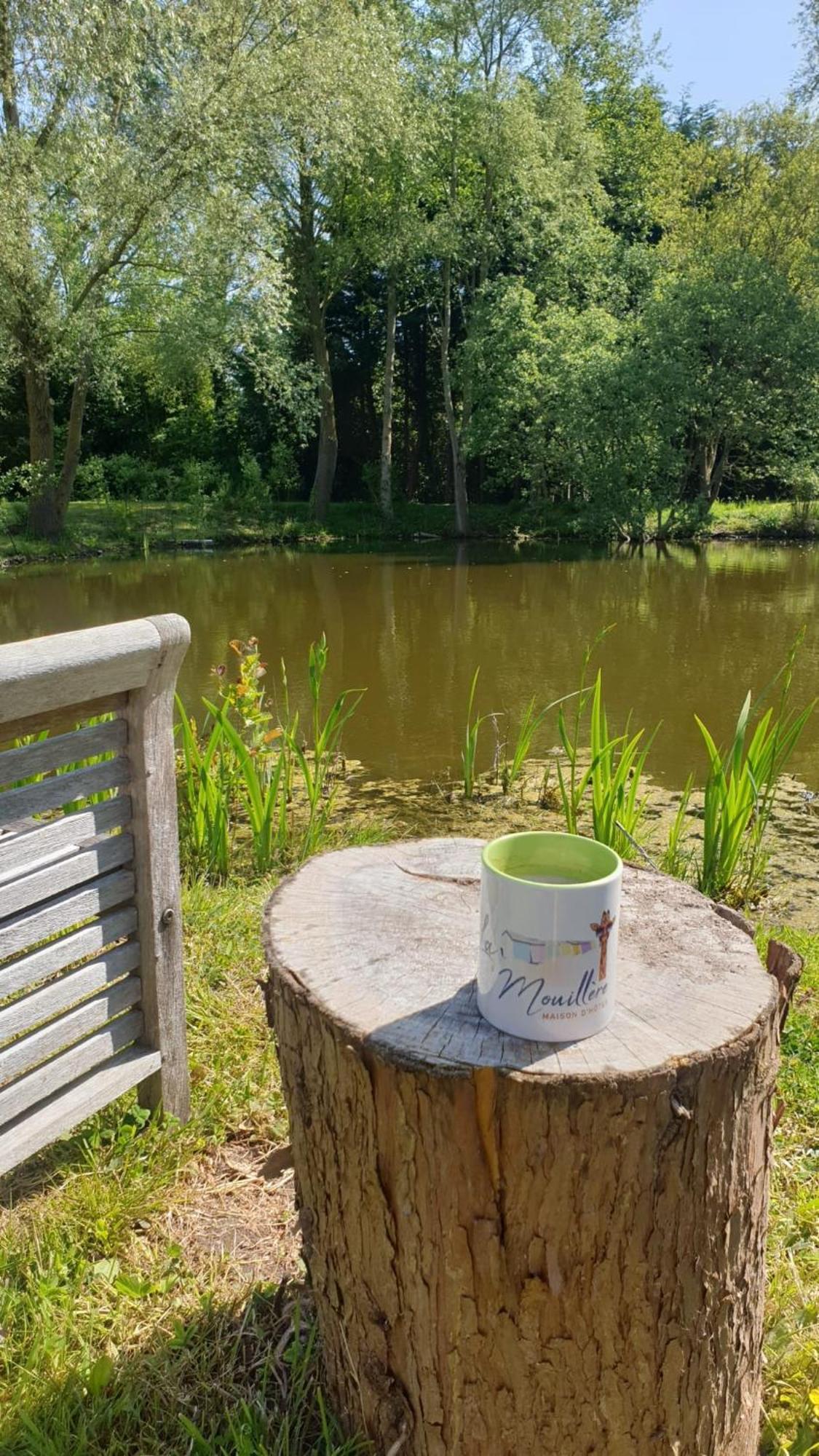 La Mouillere Bed and Breakfast Verton Exteriör bild